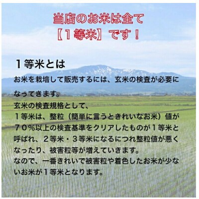 【毎月定期便】特Aランク獲得北海道月形町ななつぼし精米4.5kg×2袋×6か月定期発送　全6回