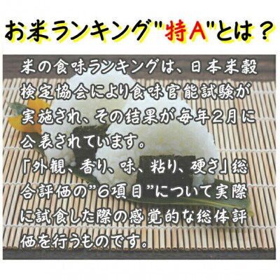 【毎月定期便】特Aランク獲得 月形町ななつぼし・無洗米 6kg×6ヶ月 毎月発送 全6回