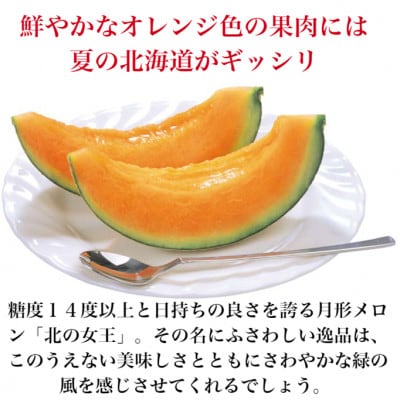 北海道月形町産　赤肉メロン 『北の女王』 と 青肉メロン 『月雫』 各1玉【複数個口で配送】