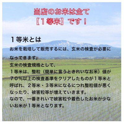 【発送月固定定期便】特Aランク連続獲得　北海道月形町ななつぼし(精米)5kg 全4回
