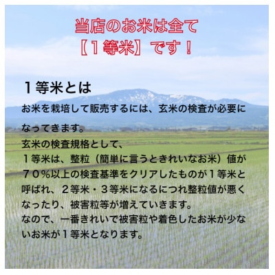【発送月固定定期便】特Aランク連続獲得　北海道月形町ななつぼし(精米)5kg 全8回