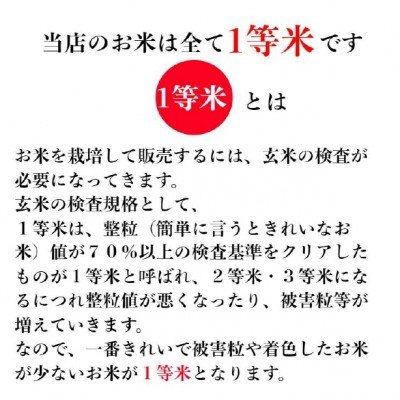 【発送月固定定期便】特Aランク連続獲得　北海道月形町ななつぼし無洗米(精米)2kg 全3回