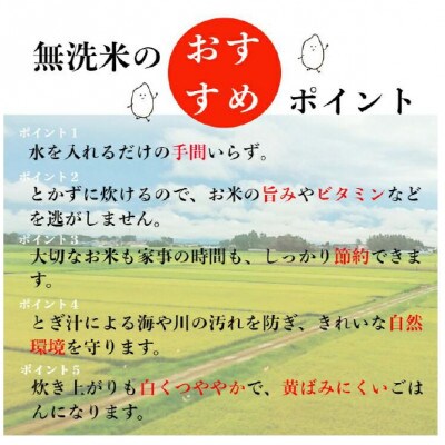 【発送月固定定期便】特Aランク連続獲得　北海道月形町ななつぼし無洗米(精米)2kg 全3回