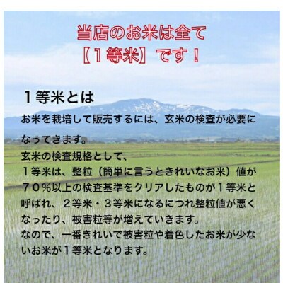 【発送月固定定期便】北海道月形町 ななつぼし無洗米(精米)4.5kg×2袋  特Aランク獲得 全6回
