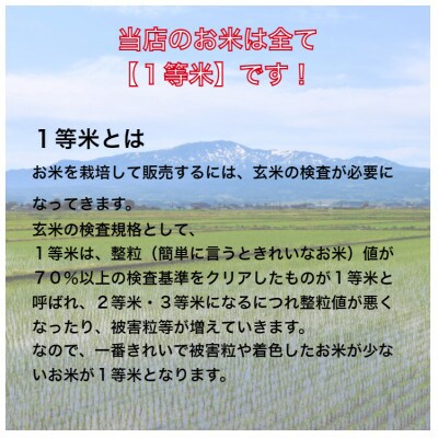 【発送月固定定期便】特Aランク連続獲得　北海道月形町ななつぼし「無洗米(精米)」20kg 全6回