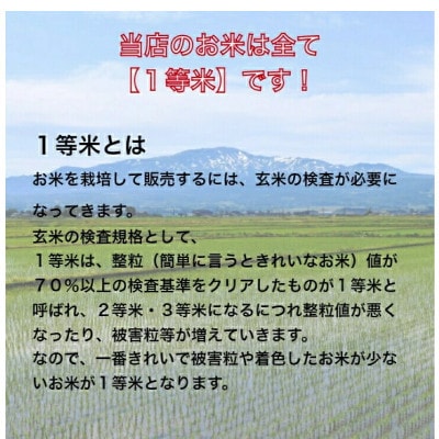 【発送月固定定期便】月形町ななつぼし一般精米(4.5kg×4袋)特Aランク全6回