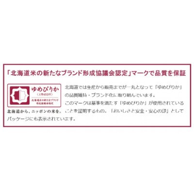 【毎月定期便】北海道月形町産 ゆめぴりか「無洗米」5kg×2袋 特Aランク全4回