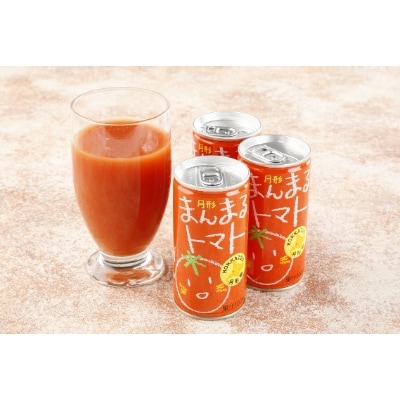 ≪食塩無添加≫北海道月形町産完熟トマト「桃太郎」使用 『月形まんまるトマト』60本