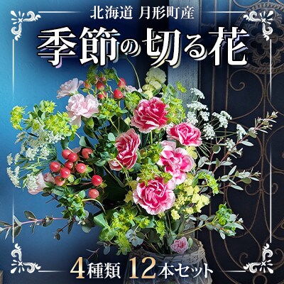 【発送月固定定期便】北海道月形産　季節の切り花12本セット(4種類×3本)9～11月全3回