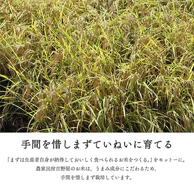 奥会津のきれいな水で大切に育てた　コシヒカリ【農家民宿米】　3kg