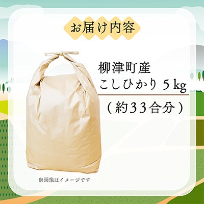 奥会津のきれいな水で大切に育てた　コシヒカリ【農家民宿米】　5kg