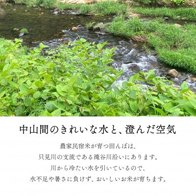 【令和6年産】奥会津のきれいな水で大切に育てた　コシヒカリ精米「農家民宿米」5kg〈10月以降発送〉