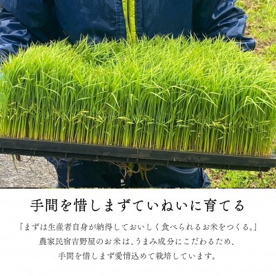 【令和6年産】奥会津のきれいな水で大切に育てた　コシヒカリ精米「農家民宿米」5kg〈10月以降発送〉