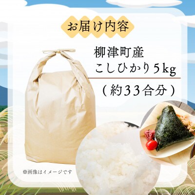 【令和6年産】奥会津のきれいな水で大切に育てた　コシヒカリ精米「農家民宿米」5kg〈10月以降発送〉