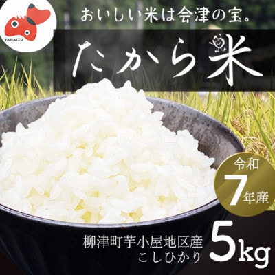 【令和7年産】奥会津のきれいな水で大切に育てた「たから米」【5kg】