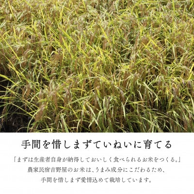 【令和7年産】奥会津のきれいな水で大切に育てた「たから米」【5kg】