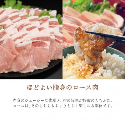 ジューシー!　ブランド豚「和豚もちぶた」ロース焼肉用1kg