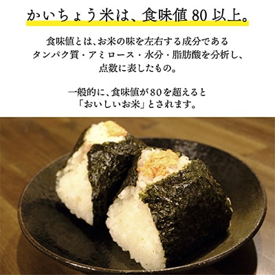【令和6年産】食味値80以上!会津・柳津産コシヒカリ「かいちょう米」2kg