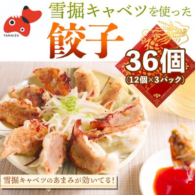 【雪堀キャベツ使用!】キャベツのあまみが効いてる餃子　36個(12個入×3パック)