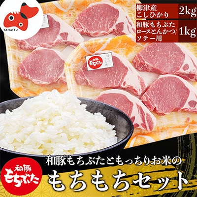 【幸せ食感】奥会津産こしひかり「かいちょう米」と、和豚もち豚の「もちもちセット」【複数個口で配送】