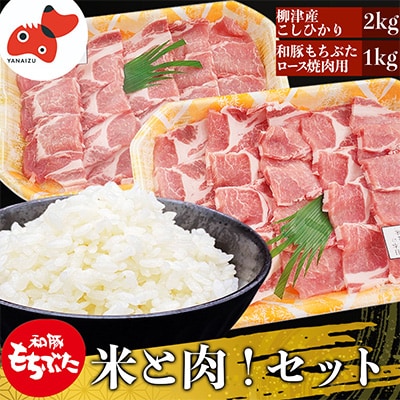 【幸せ食感】奥会津産のおいしいお米と、和豚もちぶたの「米と肉!」セット【複数個口で配送】