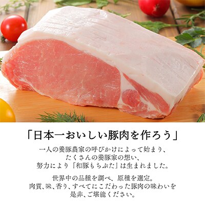 【幸せ食感】奥会津産のおいしいお米と、和豚もちぶたの「米と肉!」セット【複数個口で配送】