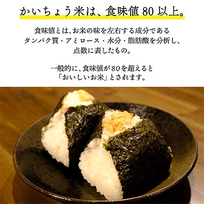 【幸せ食感】奥会津産のおいしいお米と、和豚もちぶたの「米と肉!」セット【複数個口で配送】