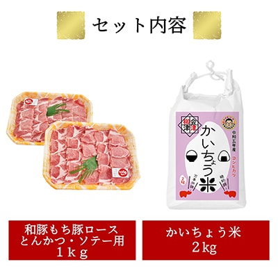 【幸せ食感】奥会津産のおいしいお米と、和豚もちぶたの「米と肉!」セット【複数個口で配送】