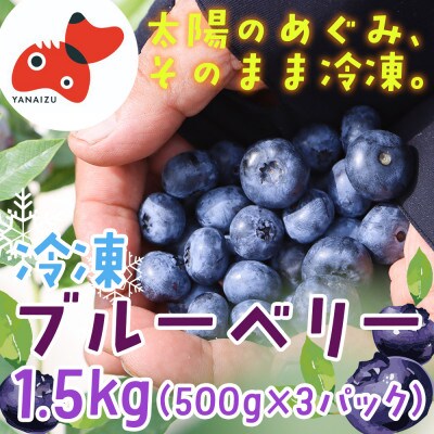 【摘みたて冷凍】 自然 の中で 育った 冷凍 ブルーベリー ( 500g × 3パック )