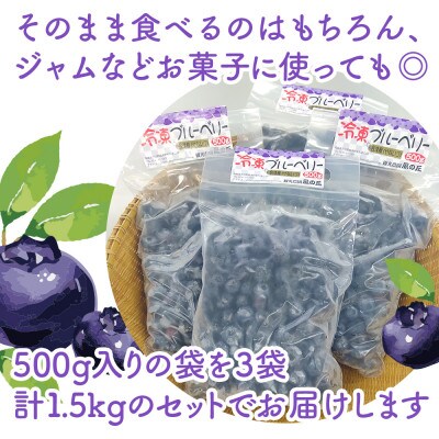 【摘みたて冷凍】 自然 の中で 育った 冷凍 ブルーベリー ( 500g × 3パック )