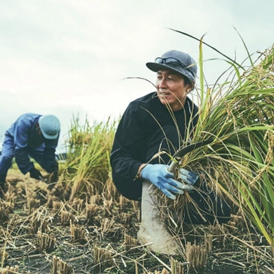 【令和5年産米】福島県柳津町産こしひかり10kg(5kg×2)＜令和6年4月末発送予定＞