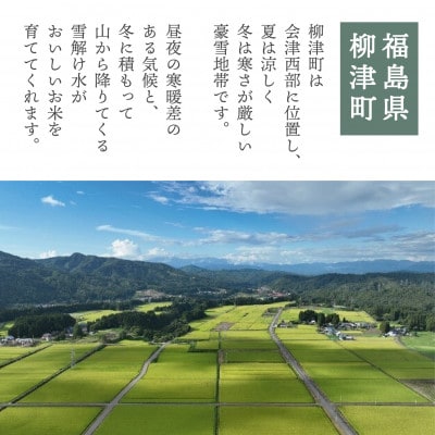 令和6年産】国立大学生まれのおいしいお米「ゆうだい21」10kg