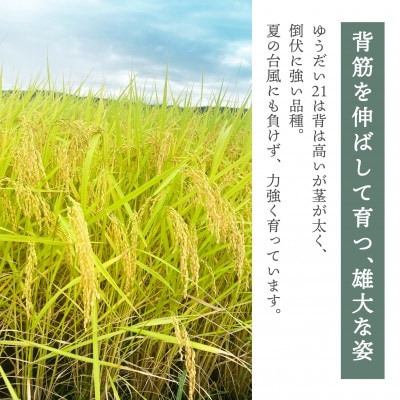 令和6年産】国立大学生まれのおいしいお米「ゆうだい21」10kg