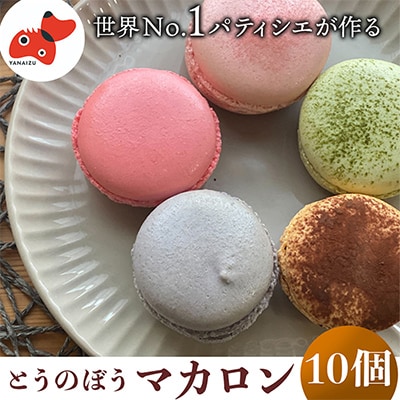 世界No.1パティシエが作る　さっくりぎっしり!保存料不使用の「とうのぼうマカロン」10個入り