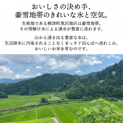 【令和7年産先行受付】柳津町黒沢地区産こしひかり「中山間のかがやき」5kg 〈10月末より順次発送〉