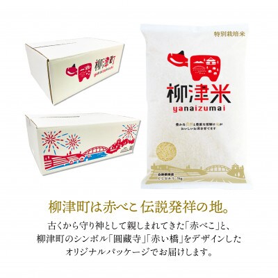 【令和6年産 先行受付 / R7.8月より順次発送】会津柳津産「柳津米」特別栽培米 10kg
