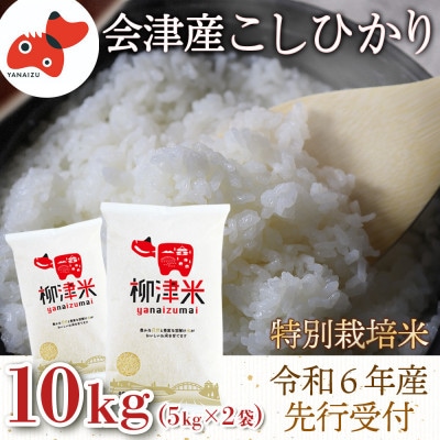 【令和6年産 先行受付 / R7.5月より順次発送】会津柳津産「柳津米」特別栽培米 10kg