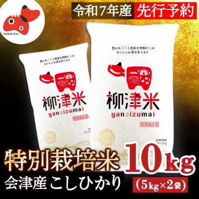 【11月下旬より順次発送】柳津産のおいしい特別栽培こしひかり「柳津米」【令和7年産先行予約】