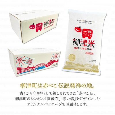 【11月下旬より順次発送】柳津産のおいしい特別栽培こしひかり「柳津米」【令和7年産先行予約】