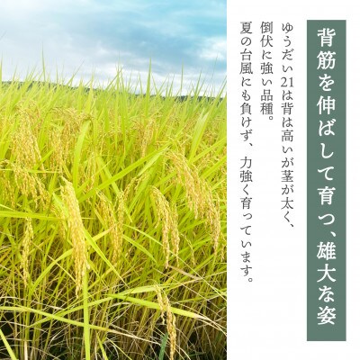 【令和6年産】柳津町産「こしひかり・ゆうだい21」食べ比べ 各5kg〈令和7年4月下旬発送予定〉