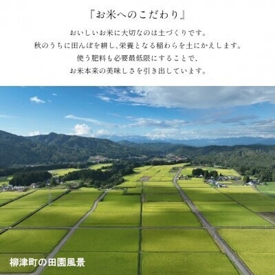 【令和7年産】福島県会津 柳津町産「こしひかり」10kg【5月下旬発送予定】