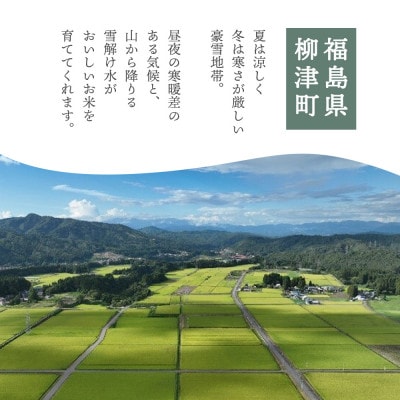 【農家直送!】福島県 会津 柳津町産 の大粒米「ゆうだい21」10kg【令和8年11月末より発送分】