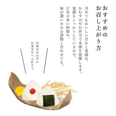 【農家直送!】福島のブランド米「福、笑い」 10kg【令和8年12月末より順次発送分】