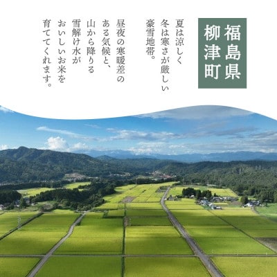 【農家直送!】福島のブランド米「福、笑い」 10kg【令和9年2月末より順次発送分】