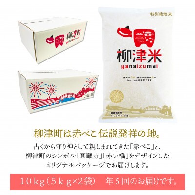 【発送月固定定期便】令和6年産　特別栽培米「柳津米」会津産こしひかり10kg(5kg×2袋)全5回