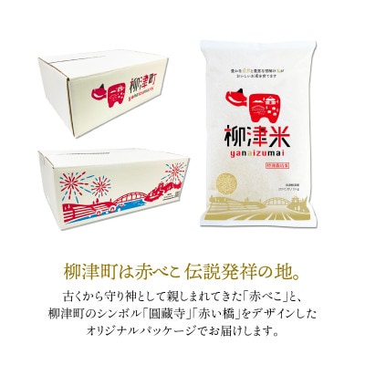 【発送月固定定期便】令和7年11月下旬より発送開始/柳津産のおいしい特別栽培こしひかり全6回