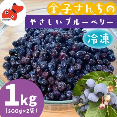山あいで育ったやさしい甘さ。冷凍ブルーベリー【植物性堆肥使用】500g×2袋