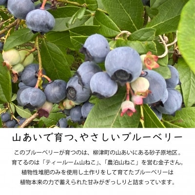 山あいで育ったやさしい甘さ。冷凍ブルーベリー【植物性堆肥使用】500g×2袋