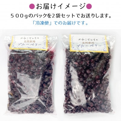 山あいで育ったやさしい甘さ。冷凍ブルーベリー【植物性堆肥使用】500g×2袋