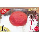 訳あり無選別紀州南高梅しそ 1kg